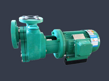 FPZ corrosion-resistant pump