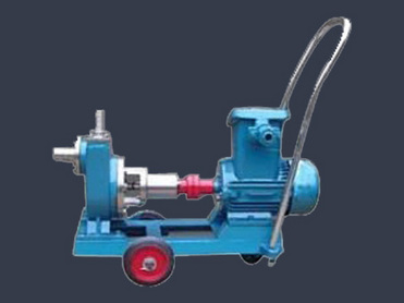 JMZ -type stainless steel pump