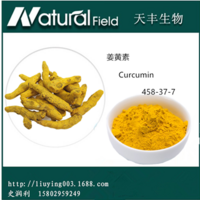 curcumin98%