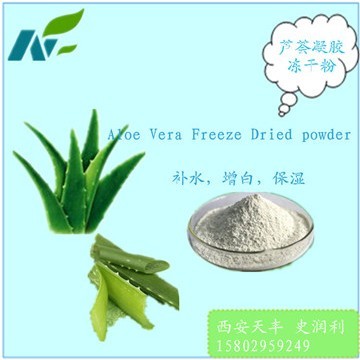 Aloe Vera Gel freeze powder 100:1