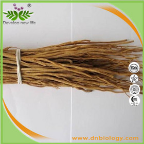 Rhizoma Achyranthes Extract