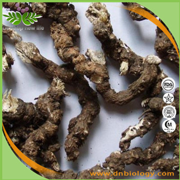 Swordlike Atractylodes Rhizome Extract