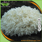 Hericium extract