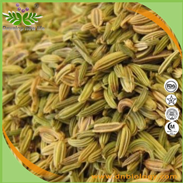 Fennel  Extract