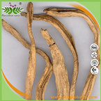 Stenona Root Extract