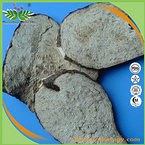 Stephania cepharantha Hayata Extract