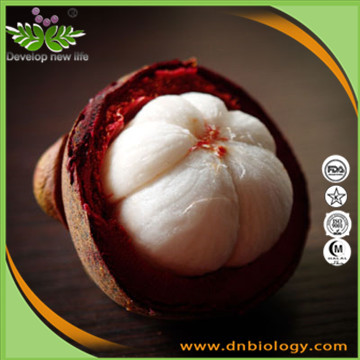 Mangosteen Extract