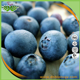 Blueberry Extract