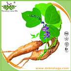 Pueraria Extract/Kudzu Root Extract