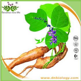 Pueraria Extract/Kudzu Root Extract