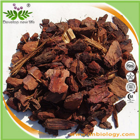 Pine Bark Extract