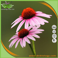 Echinacea Herb P.E