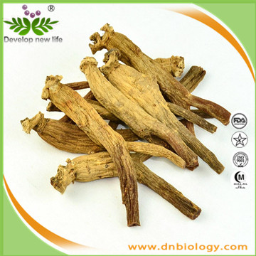 Red Ginseng Extract