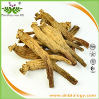 Red Ginseng Extract