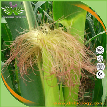 Corn Silk extract
