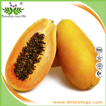 Papaya Seed Extract