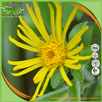 Inula Racemosa Extract