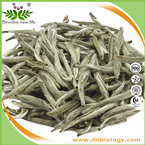 White Tea Extract 