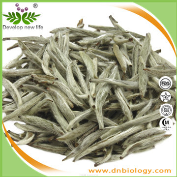 White Tea Extract 