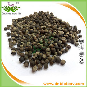 Chastetree Fruit Extract