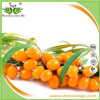 Sea Buckthorn Extract