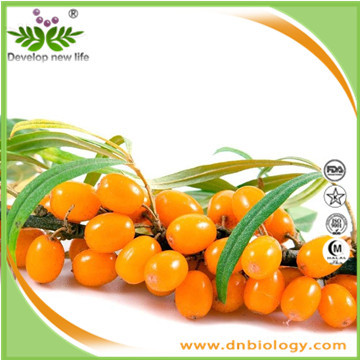 Sea Buckthorn Extract