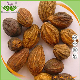 Terminalia Extract