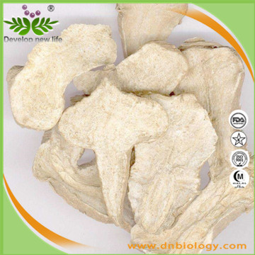  White Atractrylodes Extract