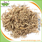 Cynanchi Stauntonii Extract