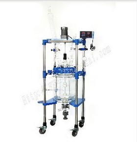 20L Double glass reactor