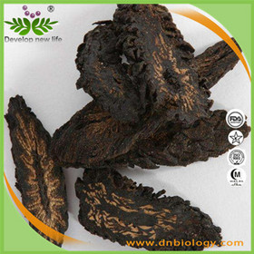 Cistanche Tubulosa Extract