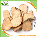 Rhizoma Smilacis Glabrae Extract