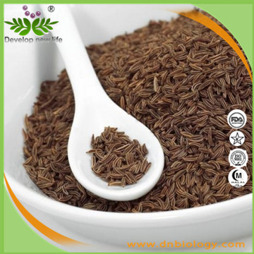 Celery Seed Extract