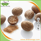 Nutmeg Extract