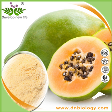 Papaya Freeze Dried Powder