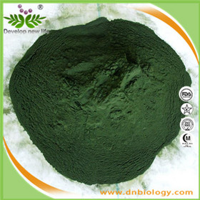 Spirulina Powder