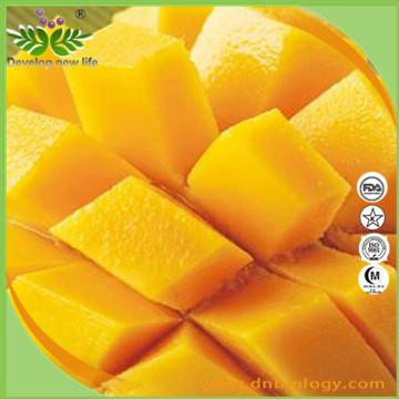 Mango Extract Mangiferin