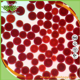  Haematococcus Pluvialis Extract Astaxanthin