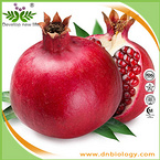 Pomegranate Extract