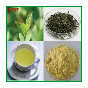 Instant Jasmine Tea Powder