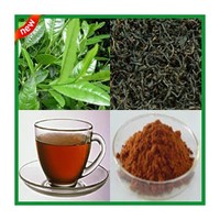 Instant Black Tea Powder  (Type I)