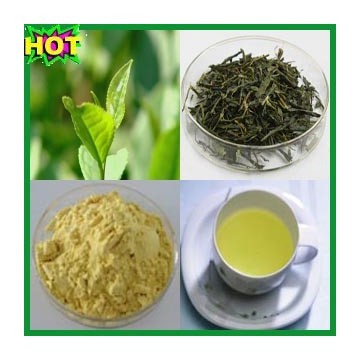 Instant Green Tea Powder (Type I)
