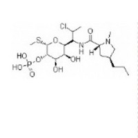 Clindamycin phosphate