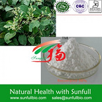 Polygonum  Extract?