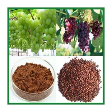 Grape Skin Extract  