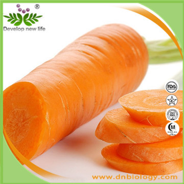 Carrot Extract