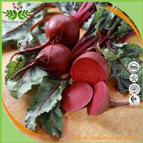 Beetroot Extract