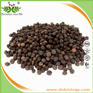 Black Pepper Extract/ Piper Nigrum Extract