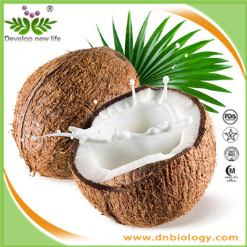 Coconut Extract/Coconut Powder/Coconut Juice Powder