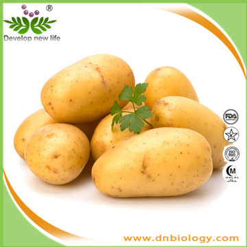 Potato Extract